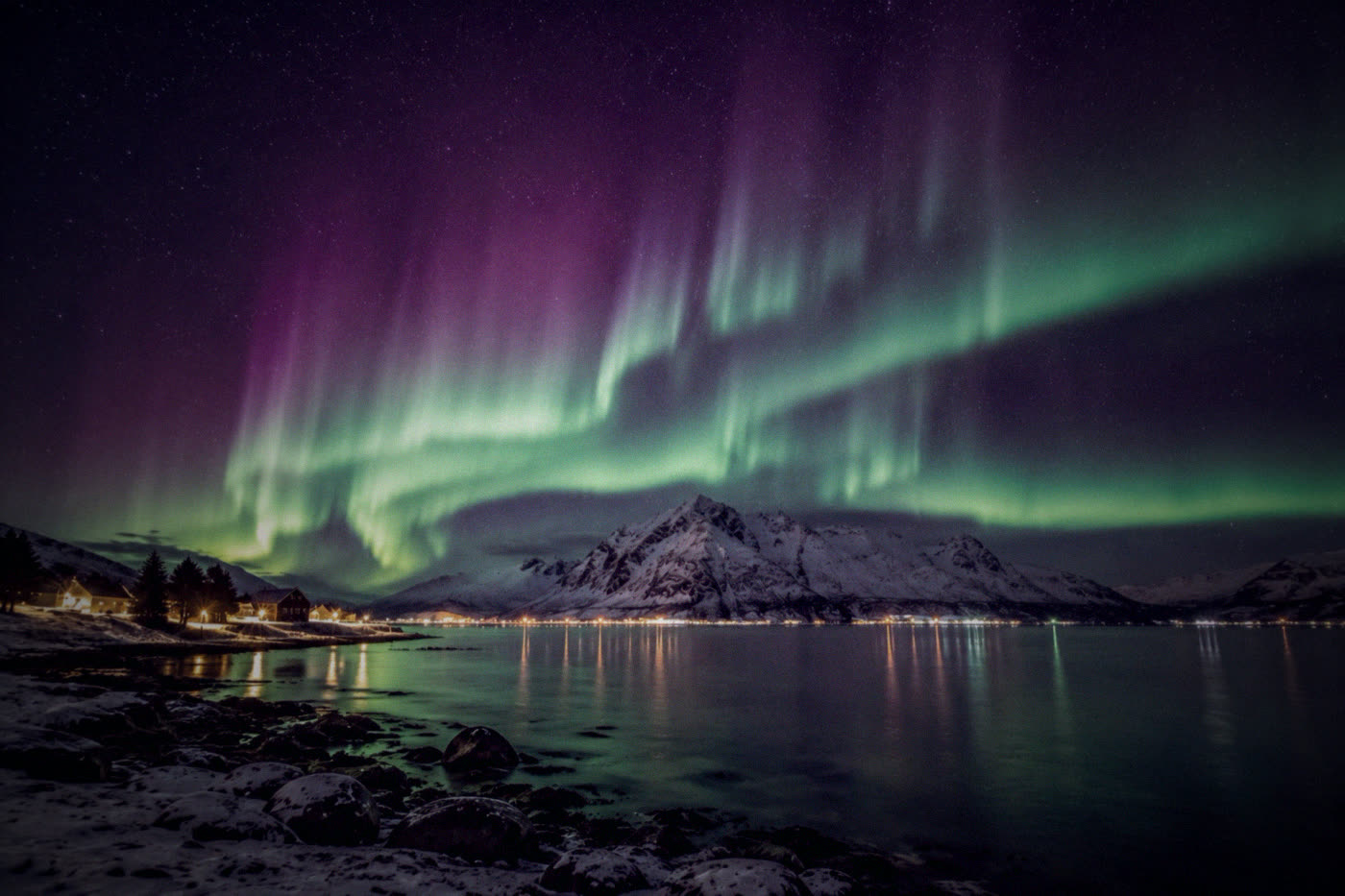 Purple and green northern lights above a coastal village on Senja