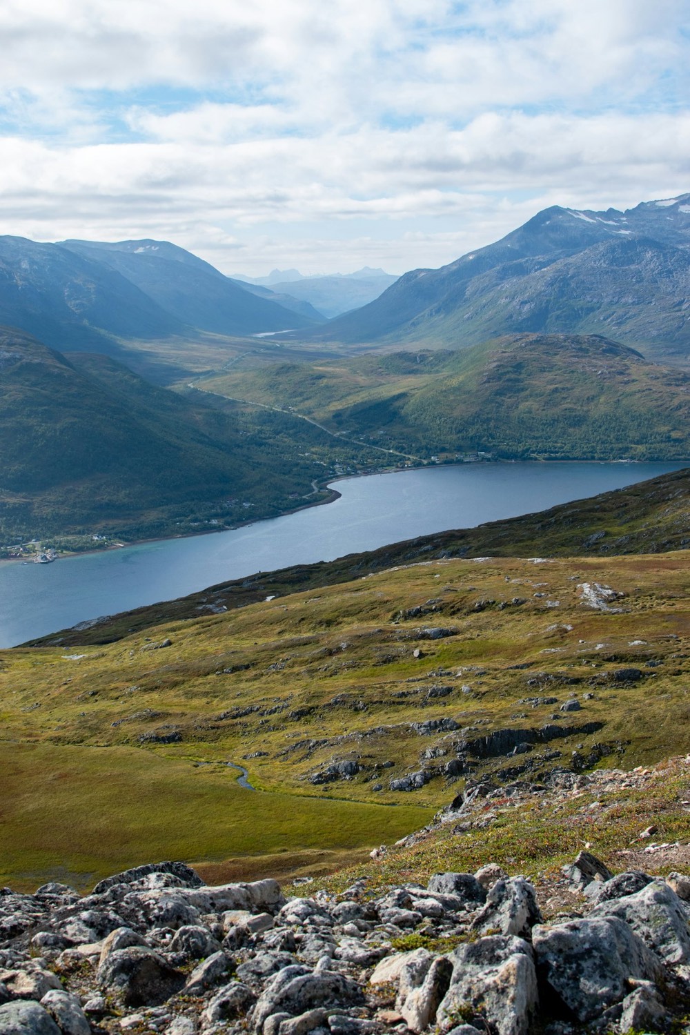 A long blue fjord winding between green mountainsides, seen from high above