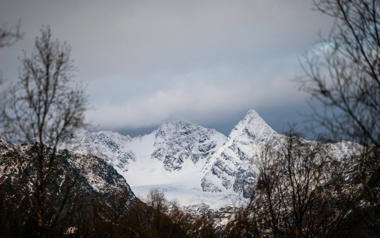 Jagged snow-covered peaks of the Lyngen Alps seen through bare birch trees