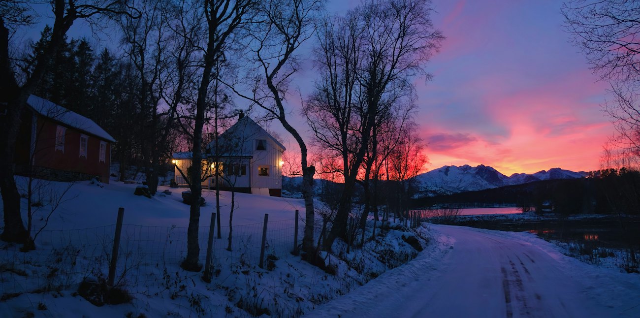 A house among bare birch trees under a pink and purple polar-night sky