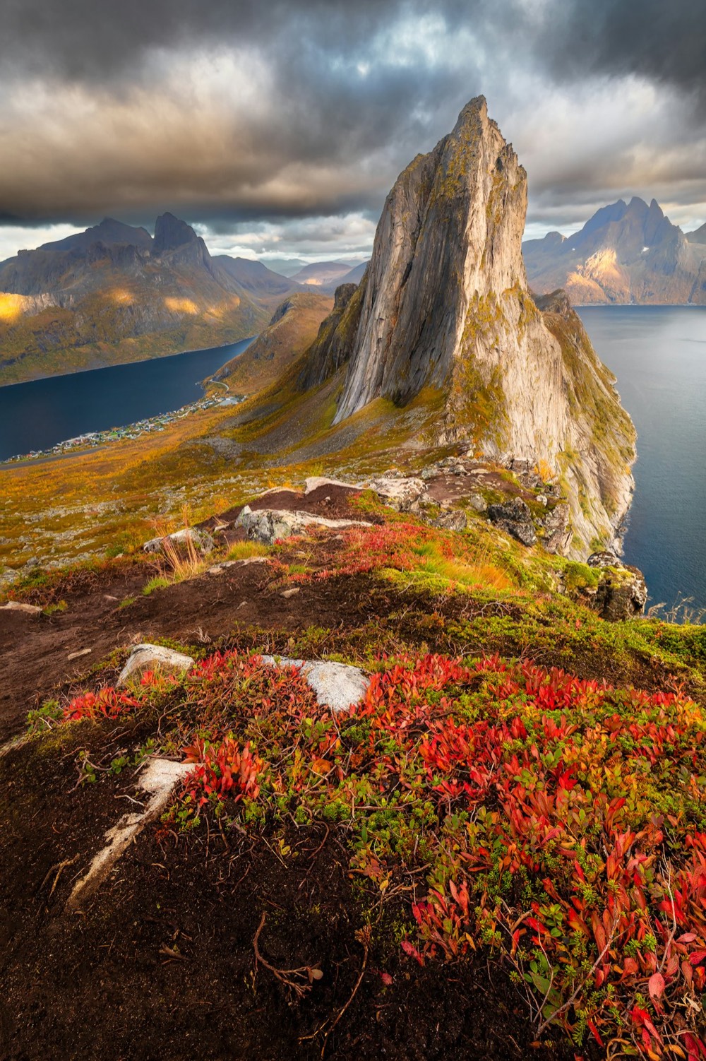 Autumn colours on the ridge below the Segla peak on Senja